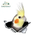 EARLFAMILY, 13 см x 11,3 СМ, гнездо для попугая, красивая птица, автомобильная наклейка, Солнцезащитная наклейка, Аксессуары для мотоцикла и автомобиля для ноутбука, пользовательская наклейка