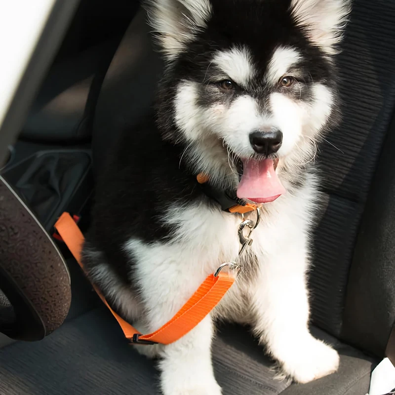 Автомобильный ремень безопасности для домашних животных собак и кошек прочный