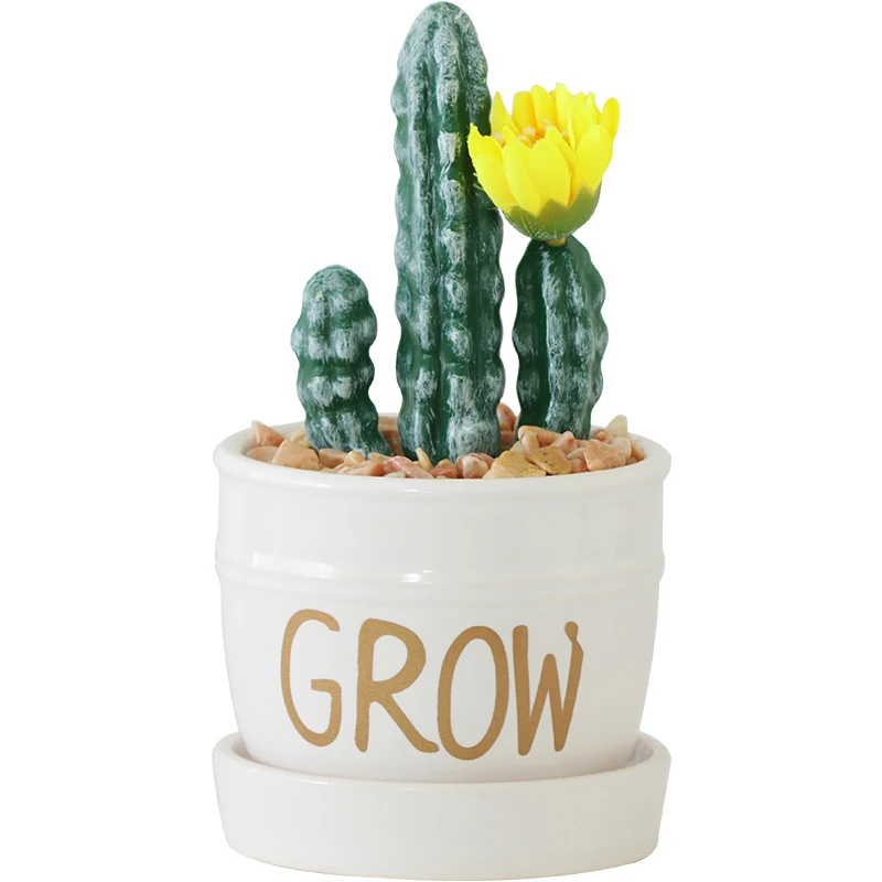 

Nordic Creative Simulation Plant Succulent Small Pot Plant Living Room Cactus Decorative Bonsai Fake Flower Entrance Decoration