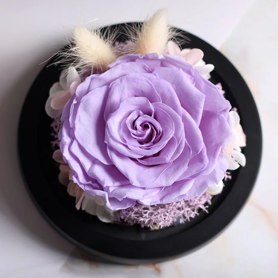 Paquete de regalo Rosa eterna en cristal, flor Seca De La Bella y La Bestia para decoraci&oacute;n del hogar, regalos de boda, regalo del d&iacute;a de Rosevalentines-4