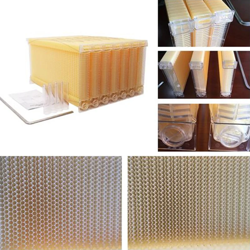 Automatic Honey Collection Nest Frame Beekeeper Beehive Food-Grade Plastic Honeycomb Block Bee Spleen Box Beekeeping Tools Witho | Дом и сад