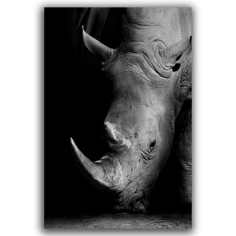 Гостиная на холсте бескаркасные Черный и белый цвета животных картина для