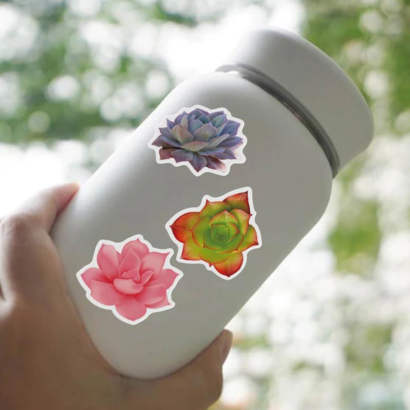 50Pcs Cartoon Succulent Cactus Plant Stickers Luggage Guitar Computer Notebook Waterproof Graffiti Sticker Decoration | Игрушки и хобби
