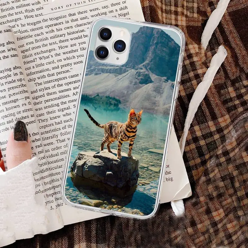 

Leopard Cat Phone Case for iphone 6s 7 8plus xr xs max 11 12 pro max mini funds clear