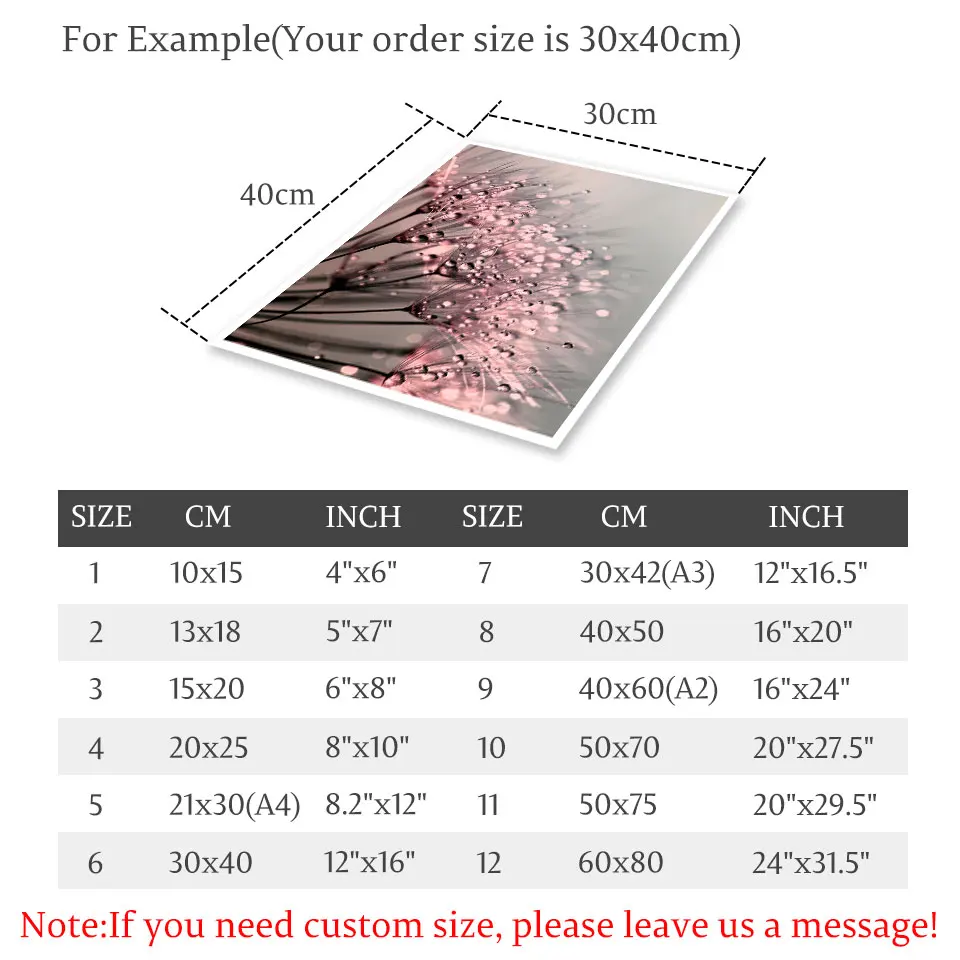 Плакат с одуванчиком росы планшетом Картина на холсте Цветы настенное искусство