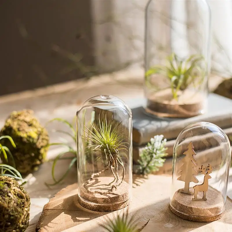 Настольный стеклянный купол крышка полусферы ручной работы с деревянная пробка