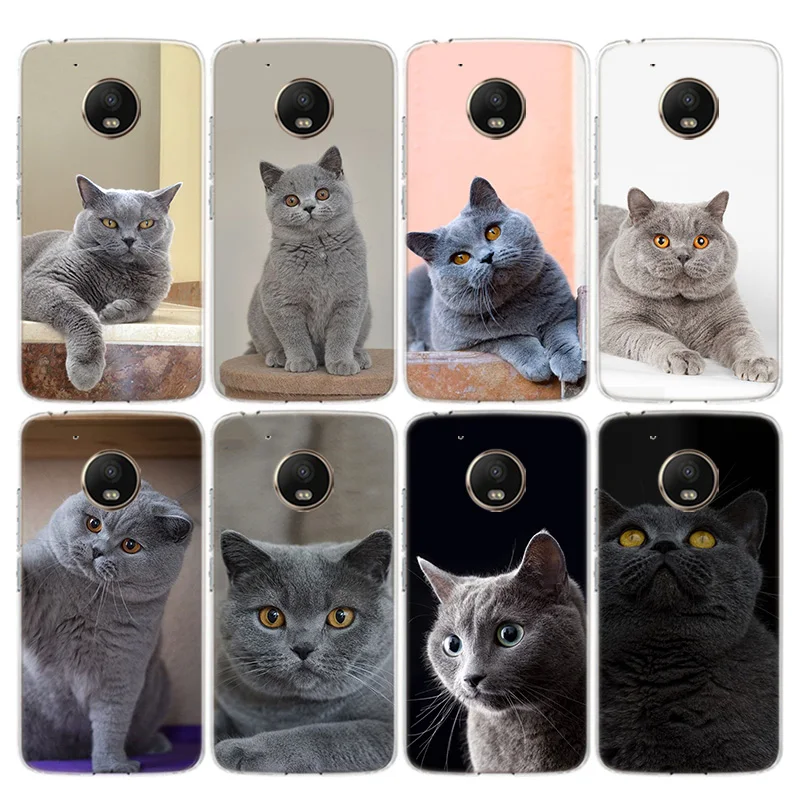 Чехол для телефона с британским котом короткого замыкания Motorola Moto G9 G8 G7 G6 G5S E6 E5 Plus