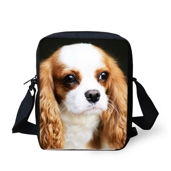 Милые миниатюрные повседневные сумки-мессенджеры с рисунком Чарльза и собаки