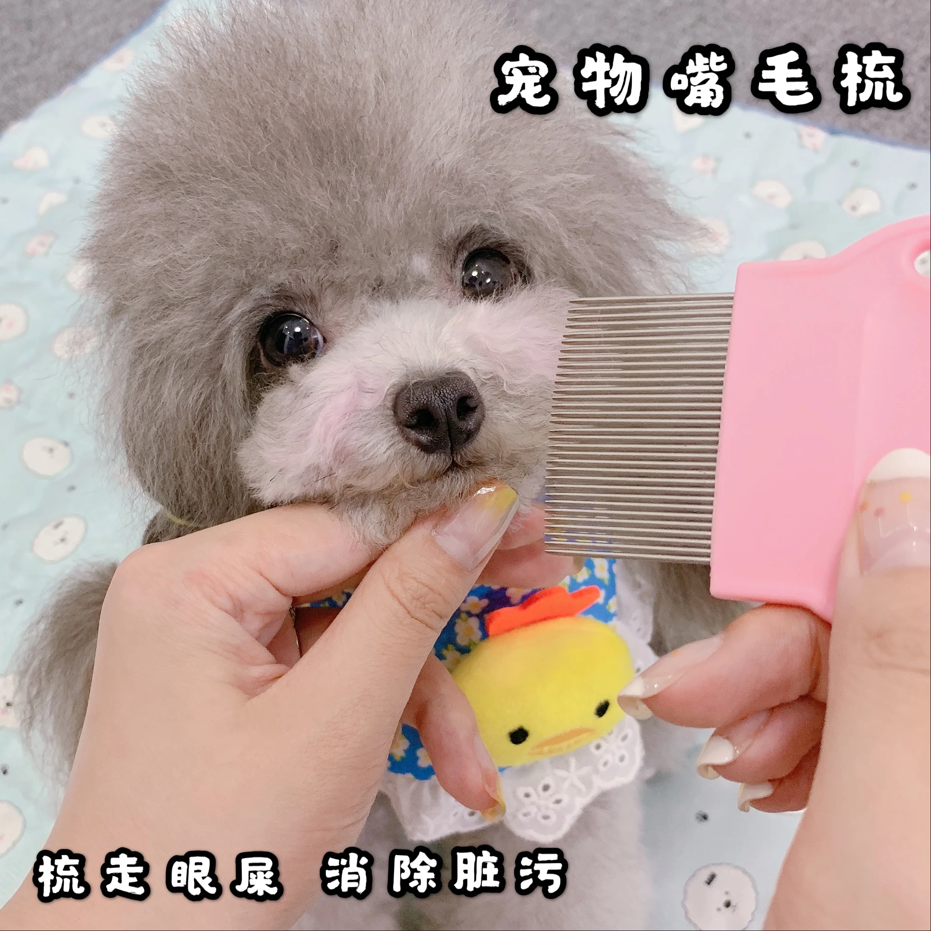 

Dog Comb New Pink Good with Mouth Hair Pet Needle Comb To Float Hair Does Not Hurt The Skin Open Knot Cat Brush Grooming Pets