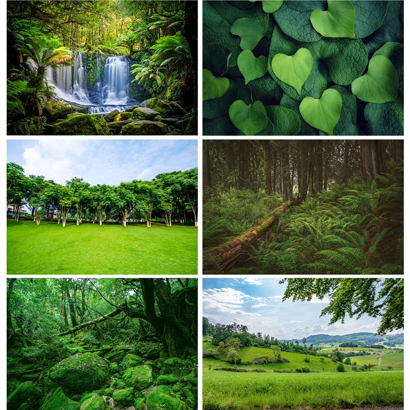 

Tropical Forest Green Trees Plants Leaves Vinyl Photography Backdrops Props Natural Scenery Photo Studio Background 21901REL-02