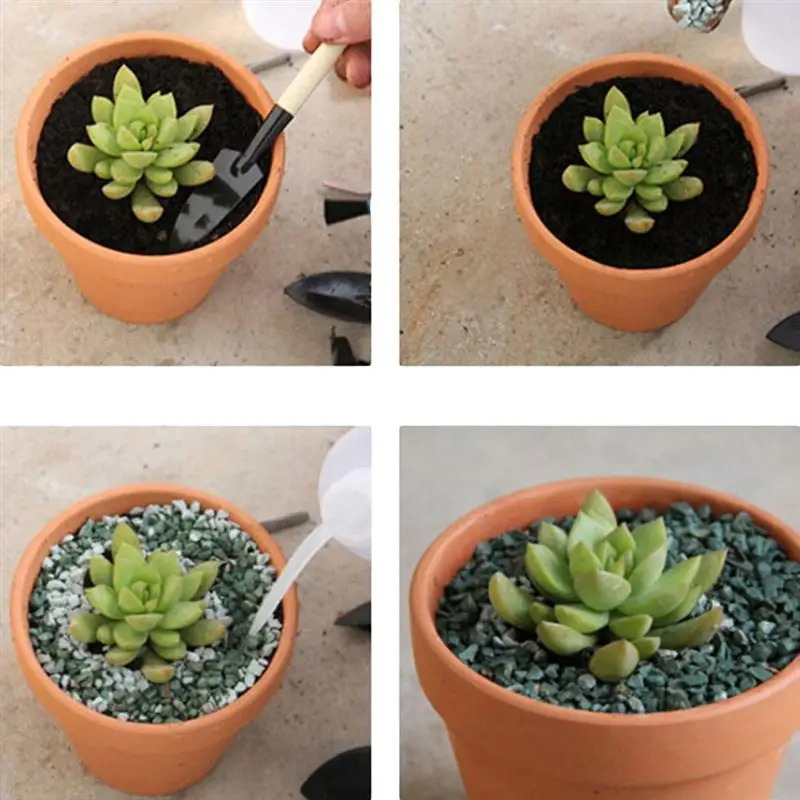 10/12/20pcs Red Pottery Flower Pot Terracotta Plant Pot With Hole Pottery Clay Planters For Cacti And Succulent Plants (3 X 3cm) images - 6