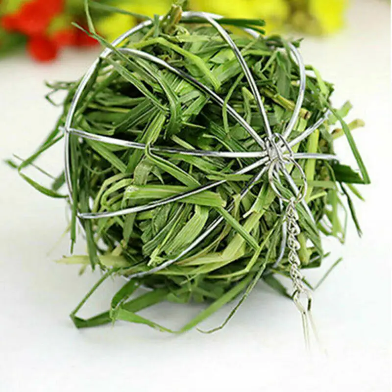 Новая круглая сферическая подача корма из нержавеющей стали для упражнений