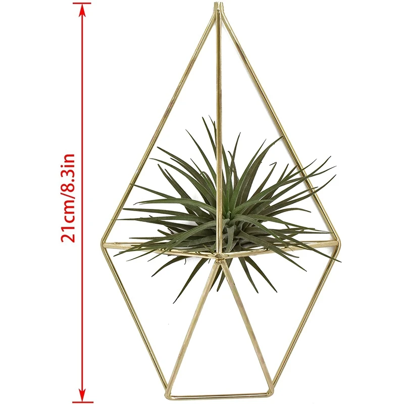 

Wall Mount Hanging Irregular Pentagon Geometric Metal Tillandsia Air Plants Holder Rack Wall Accent Decor