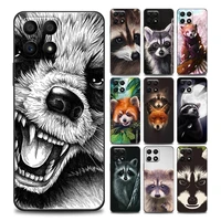 raccoon animal phone case for honor 8x s 9s c a x pro play 9a 50 pro 10 20 e pro 30i pro lite youth soft silicone cover