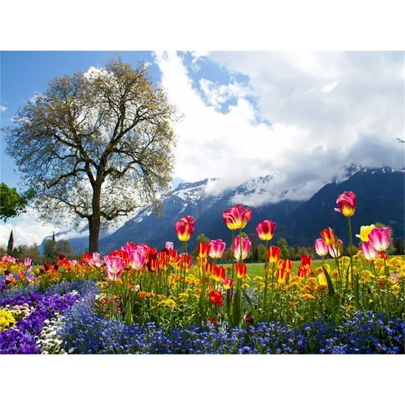 

GATYZTORY Paint By Number Flower Landscape HandPainted DIY Gift Kit Drawing On Canvas Oil Painting Picture Wall Art Home Decorat