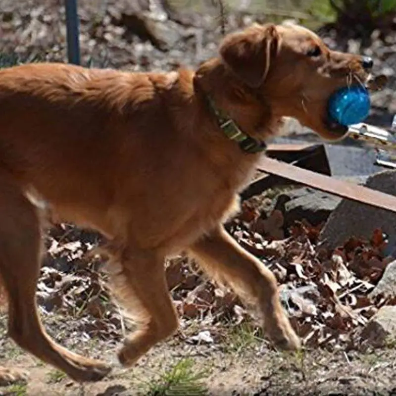 Игрушки мячики для питомцев [Серия метеоритов батут] жевательная игрушка жевания