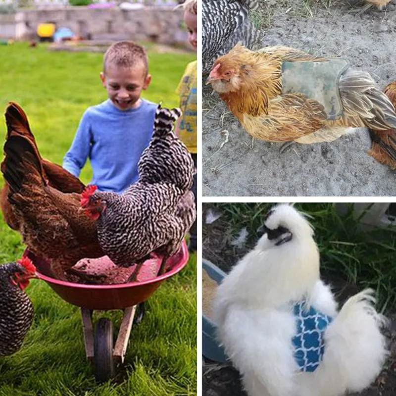 Новый курица фартук поводок-рулетка для питомца одежда птицы Курица седло