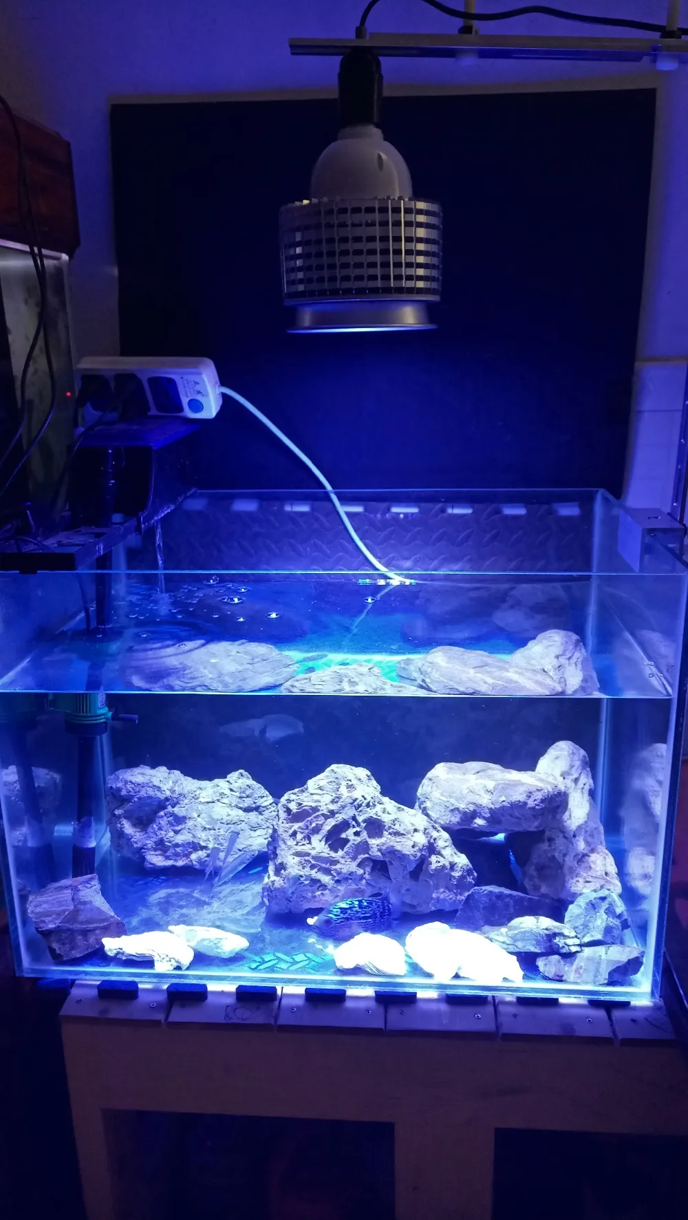 Высокая мощность 40 Вт Светодиодный светильник для аквариума Reef лампа 10 синий 6 белый 2uv для рыб коралловый риф морской SPS LPS