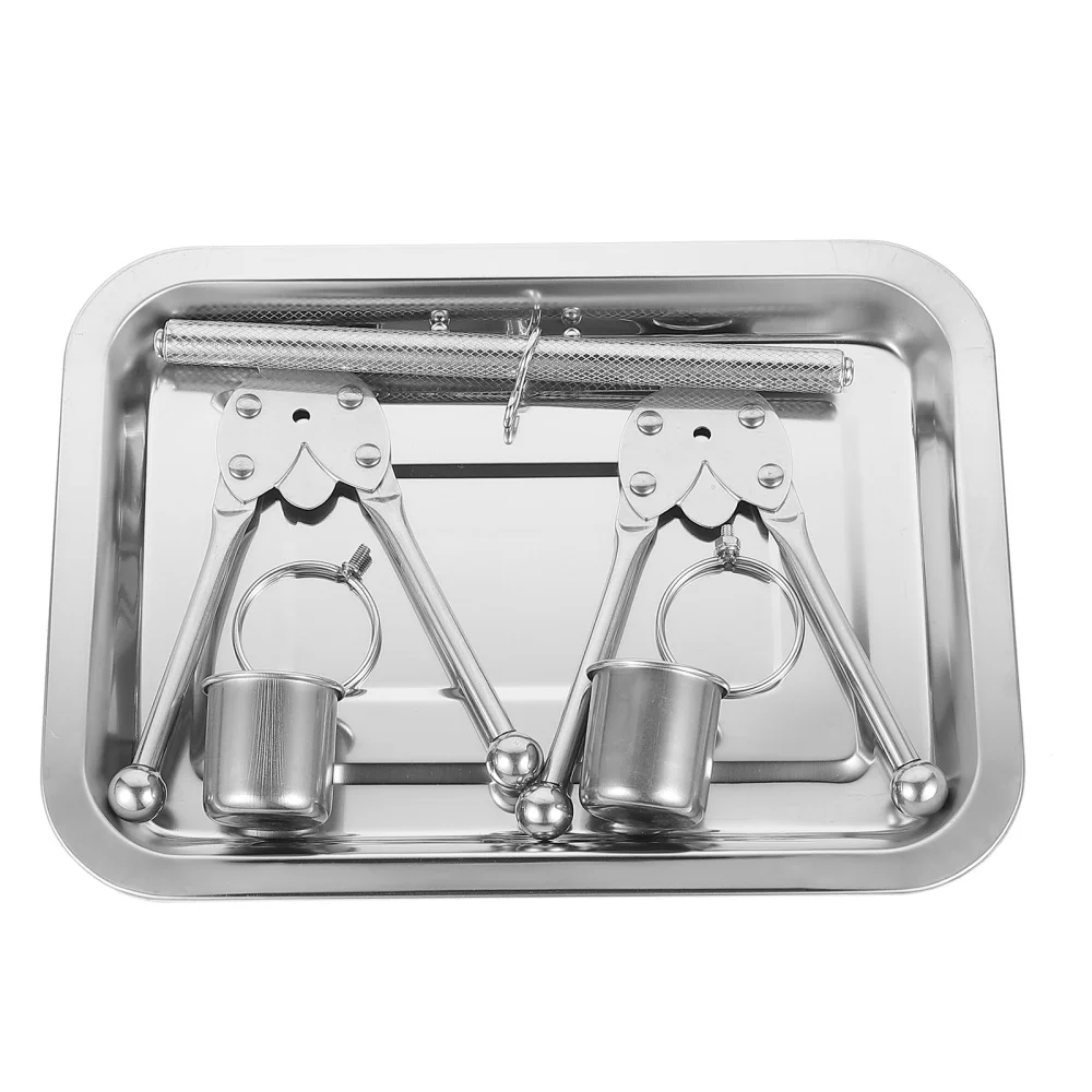 

1pc Parrot Stainless Stand Rack Bird Training Rack Bird Cage Supply (Silver)