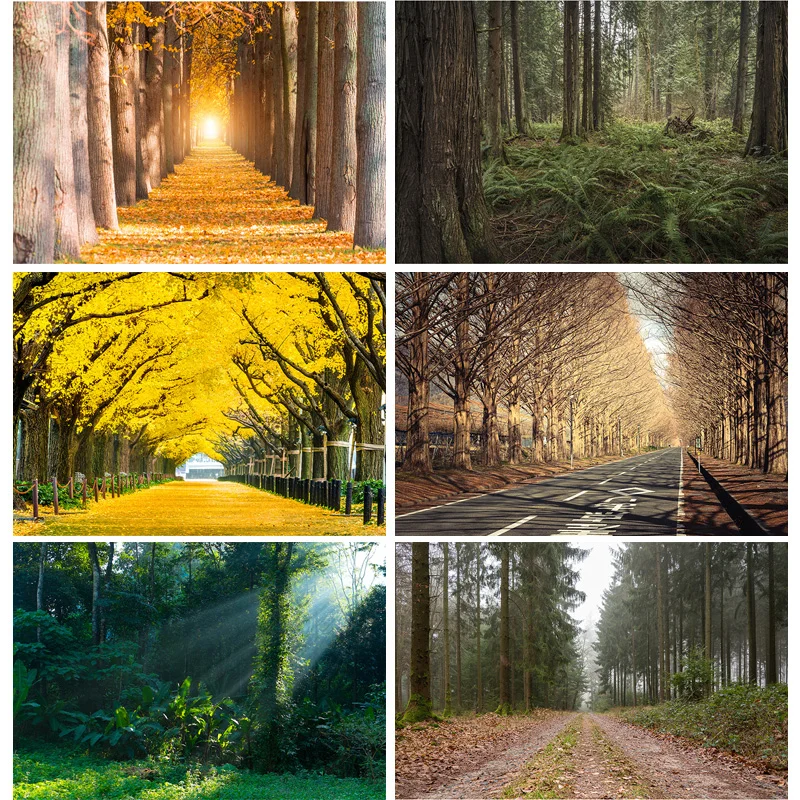 

Green Forest Nature Scenery Photography Background Landscape Portrait Photo Backdrops Studio Props 21102 KKL-03