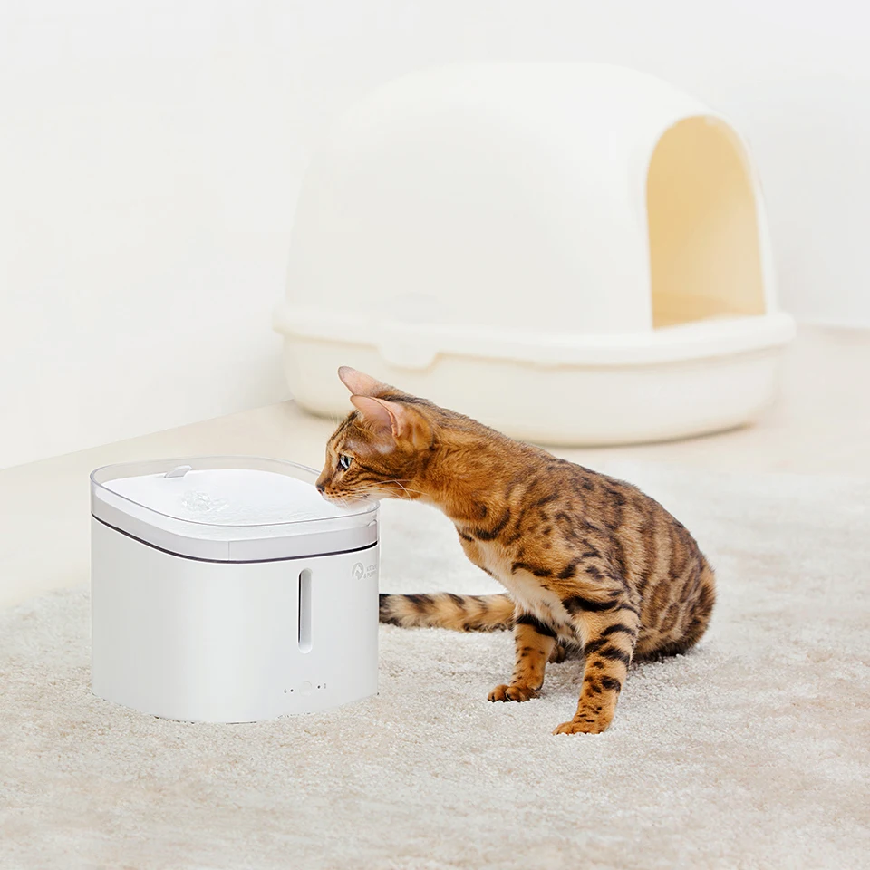 Kitten&ampPuppy Pet Water Dispenser Дозатор воды для животных Маленькие и средние щенки собаки