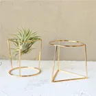 Цветочный горшок, Геометрическая металлическая стойка для ухода за растениями, подставка, садовый декор, горшки, садовые горшки, кастрюли