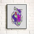 Акварельная анатомическая Картина на холсте с сердцем человека, настенный плакат, печатные картины на холсте для гостиной, домашний декор на стену