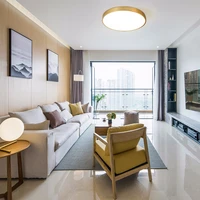 led ceiling lamp golden for modern chandelier downlights livingroom indoor