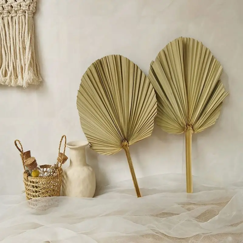 

2Pcs Palm Fan Leaf Round Shape Dried Flower Wedding Party Home Living Room Decor Art Wall Decoration Photo Props