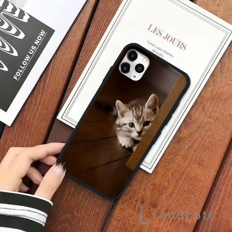 

Cute animal cat Phone Case for iPhone 11 12 pro XS MAX 8 7 6 6S Plus X 5S SE 2020 XR Soft silicone funda cover