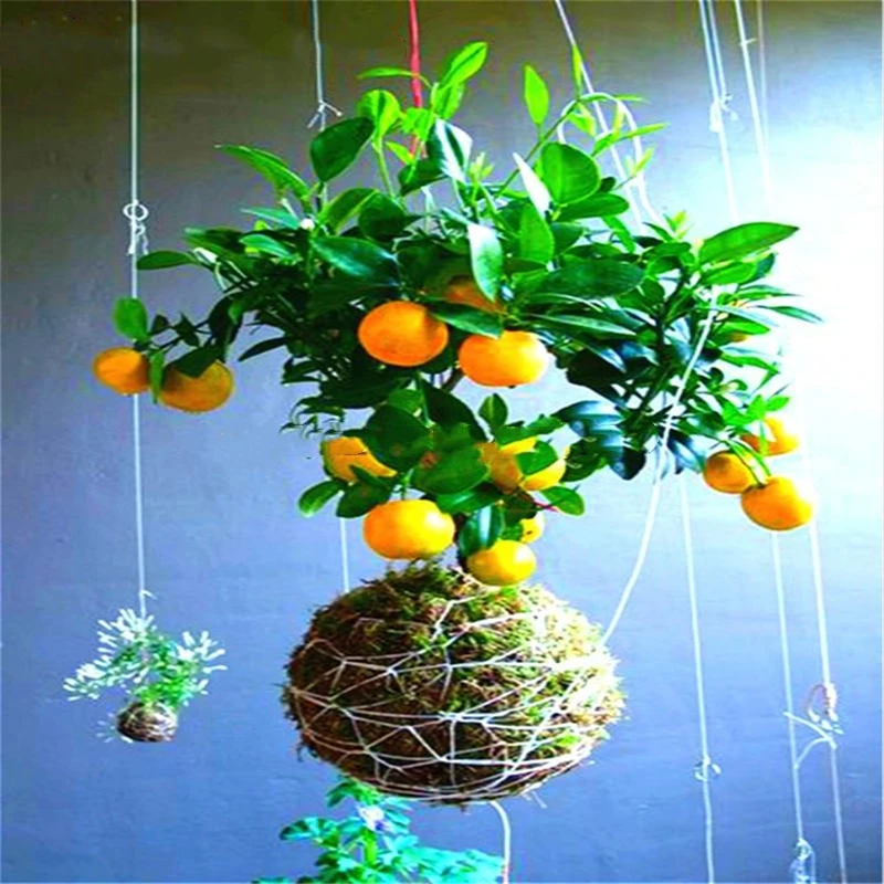 

20 шт. фотообои с карликом для ванной комнаты