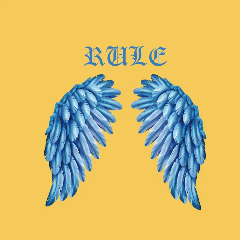

Fashion Feather Wings Iron On Patches Printed For DIY Heat Transfer Clothes T-Shirt Thermal Stickers Decoration For Children
