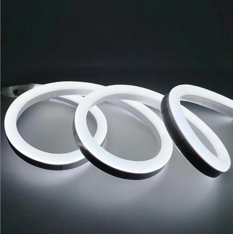 

Fanlive 50m/lot LED Neon Strip 12V 120LED/M 2835 Flexible Neon LED Light Outdoor Decorative Strip Christmas Outdoor Decorations