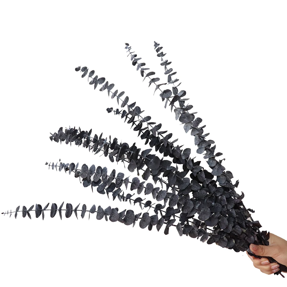 Фотообои для свадебного украшения вечные растения листья эвкалипта монет вечный