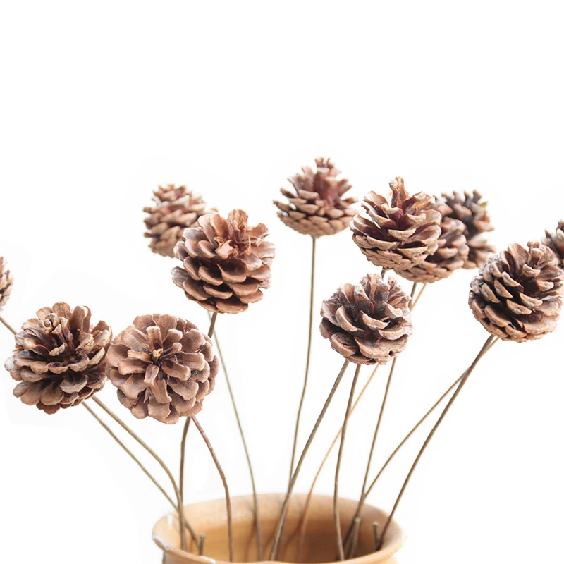 

5pcs Dried Artificial Plant Pinecone,Table Centerpiece Decorative Droogbloemen Cheap Room Ornaments Nordic Home Decor Design