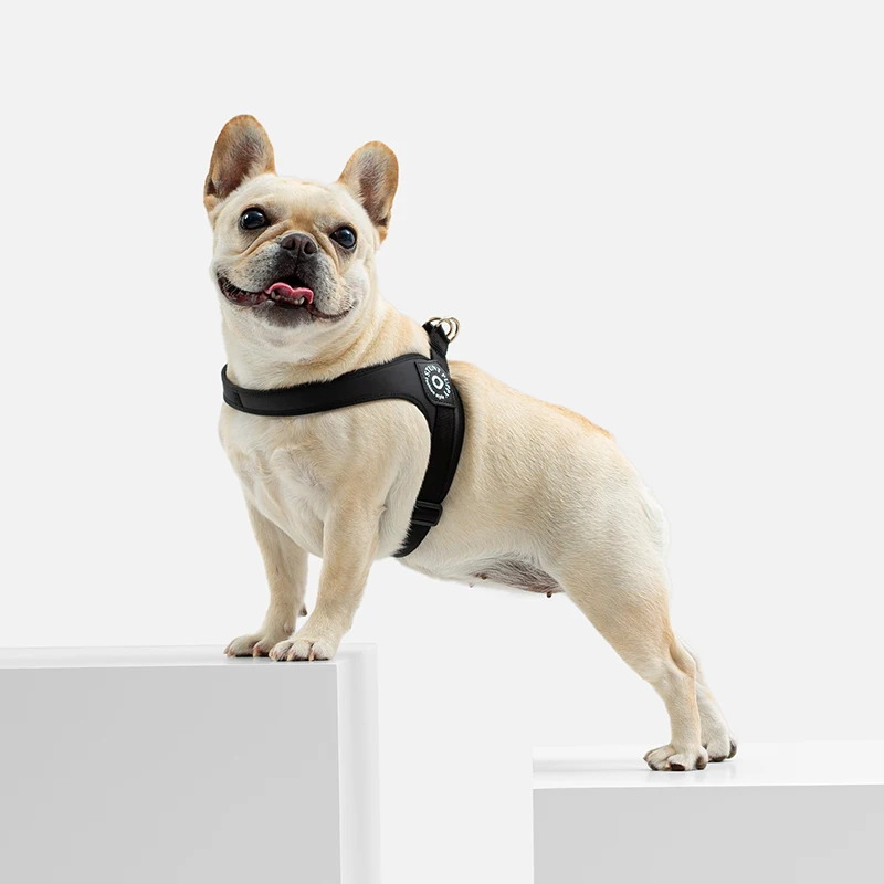 Stunt Puppy Простая Классическая шлейка для больших собак и щенков Модная стильная