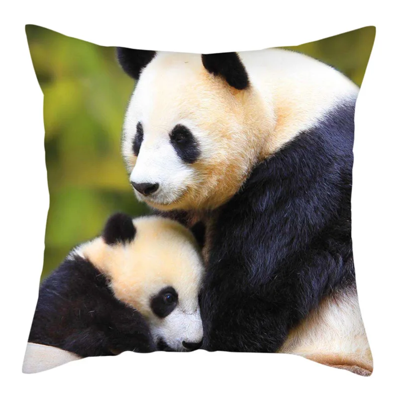 

Fuwatacchi , , , , , 45*45