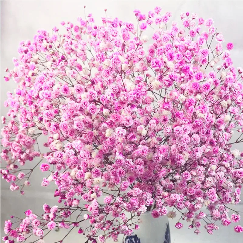 

Decoration Mariage Multicolor Gypsophila Immortal Flower Home Dia De La Madre Fleurs Sechees Plant Accessories Birthday Gift