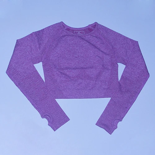 Pink shirts Vital бесшовный спортивный костюм, спортивный комплект, женская одежда для тренировок, бесшовные леггинсы, спортивный бюстгальтер пуш-ап, укороченный топ с длинными рукавами, комплект из 3 предметов для йоги - Цвет: Pink shirts