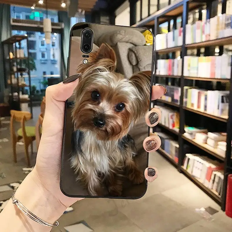 

Cute animal dog Mini Yorkshire Terrier Phone Case For Huawei honor Mate P 10 20 30 40 i 9 8 pro x Lite smart 2019 nova 5t