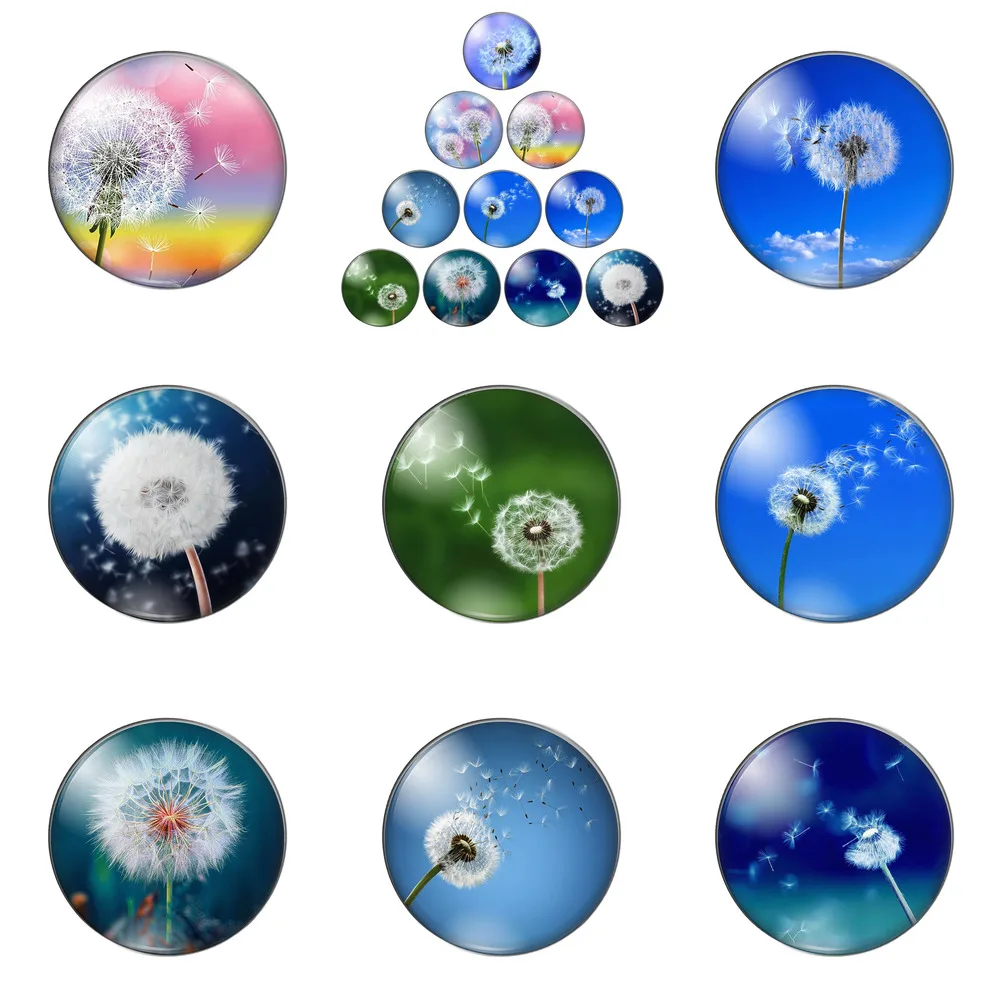 

Beauty Big Round Dandelion Flourishing Fly Color 12mm/20mm/25mm/30mm Round Photo Glass Cabochon Demo Flat Back Making Findings