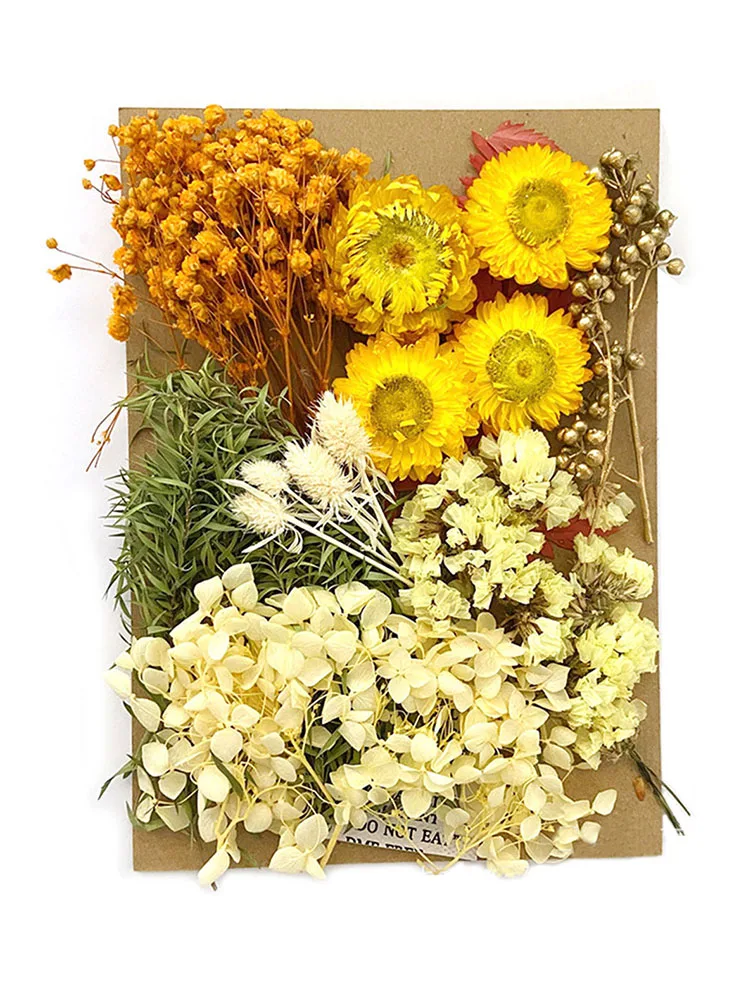 

Dried Pressed Flowers For Resin Natural Dried Flowers Leaves Bulk Dry Herbs Kit Home Simulation Pendant For DIY Craft Decoration