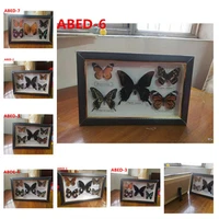 1 set of butterfly specimen photo frame 5pcs butterfly specimen crafts gifts home decoration ornaments home decorations