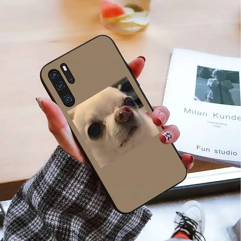 

cute cat dog Phone Case For Huawei honor Mate mate P 10 9X 10i 20 30 40 y7 lite pro p smart 2019