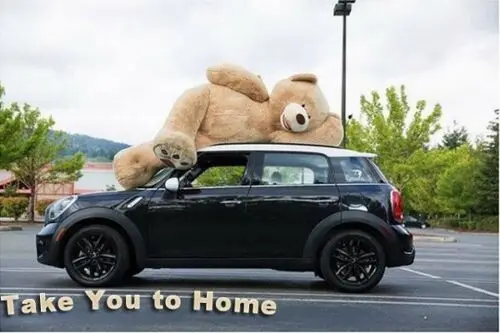 134 ''огромный гигантский больших Teddy Bear Мягкие плюшевые игрушки 340 см мягкие