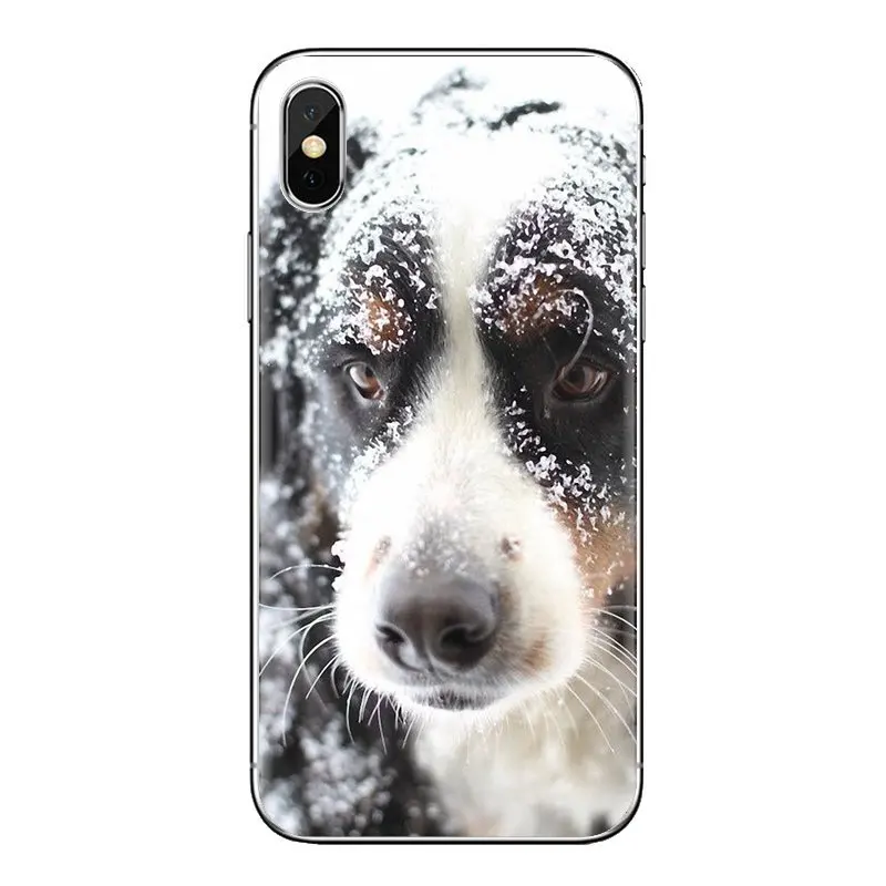 TPU Cover Bag Bernese Mountain Dog puppy Berner For Sony Xperia Z Z1 Z2 Z3 Z5 compact M2 M4 M5 E3 T3 XA Aqua LG G4 G5 G3 G2 Mini |