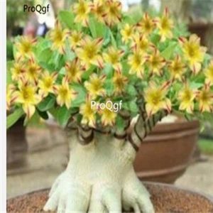 9 Prodgf комплект из 5 предметов - Цвет: 9