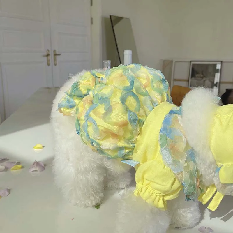 

Korean version of the spring and summer new mesh bichon Teddy dog skirt bubble cute breathable pet clothes hat sold separately