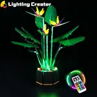 RGB RC версия со светодиодной подсветкой, совместимой с LEGO 10289, световой светильник для птицы рая, блоки, игрушки светильник, без блоков