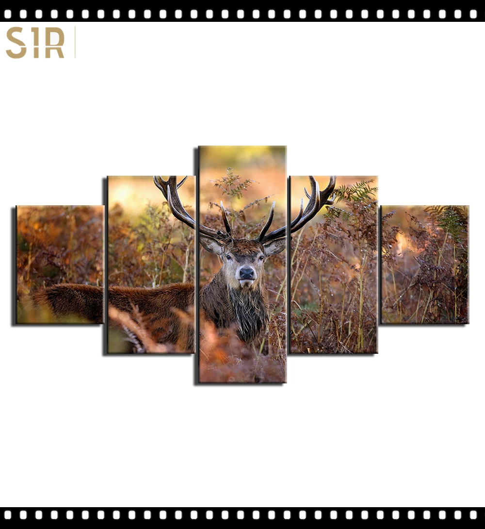

HD 5 Pieces Deer Elk Animal Pictures Posters Wall Art Home Decor for Living Room Painting on The Wall Deer Elk Pictures Wall Art